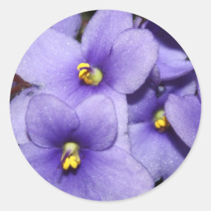 Violet Boquet Classic Round Sticker