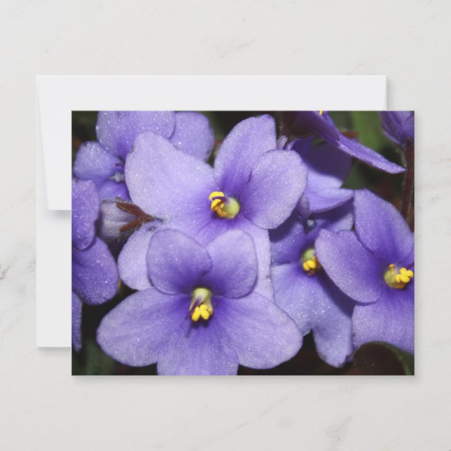 Violet Boquet Invitation (Front)