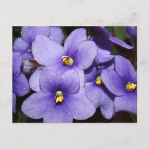 Violet Boquet Invitation
