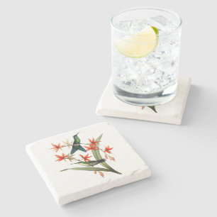 Violet Capped Wood Nymph Hummingbird Stone Coaster