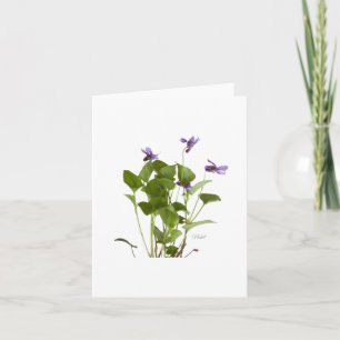 Violet Card
