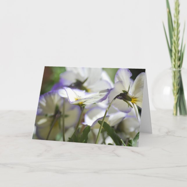 Violet Card (Front)