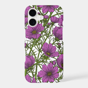 Violet cosmos flowers