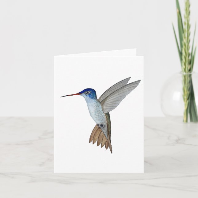 Violet-crowned Hummingbird Card (Front)