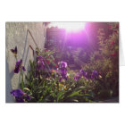 Violet Fire by Harmony