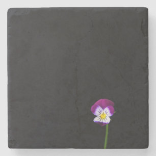 Violet Flower coastera Stone Coaster