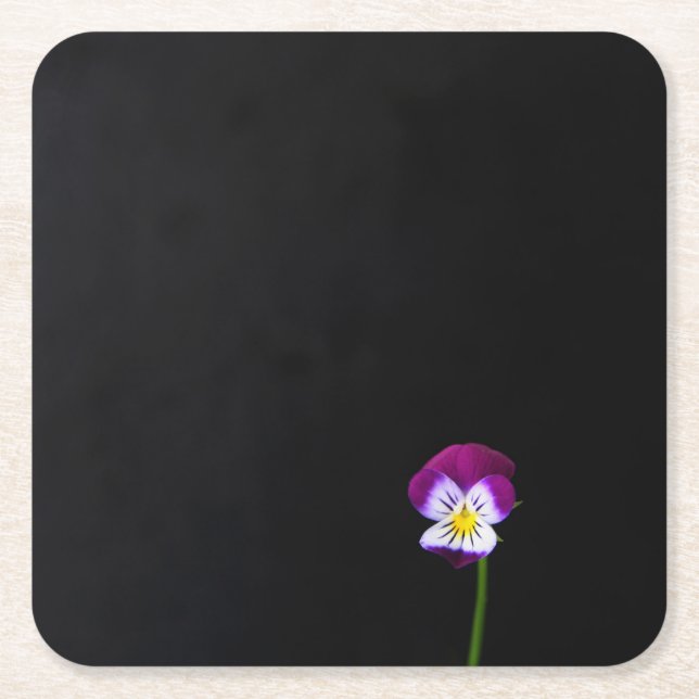 Violet Flower coastercnm Square Paper Coaster (Front)