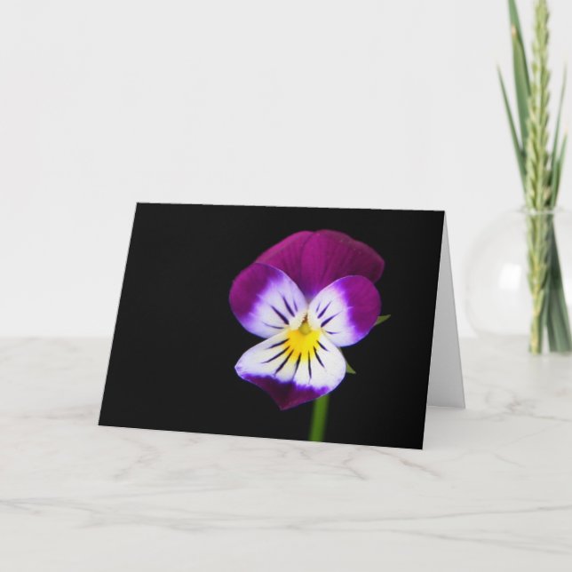Violet Flower gca Card (Front)
