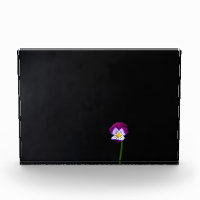 Violet Flower pbcna