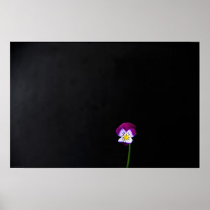 Violet Flower wapcn Poster