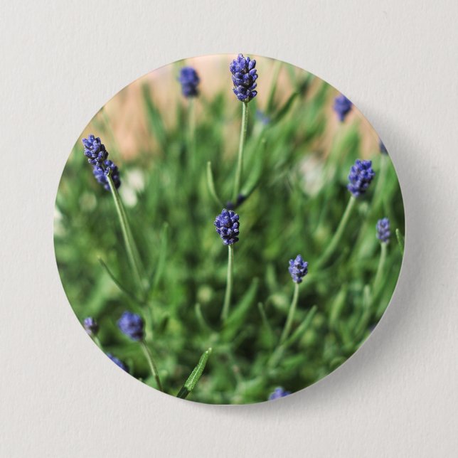 Violet flowers button (Front)