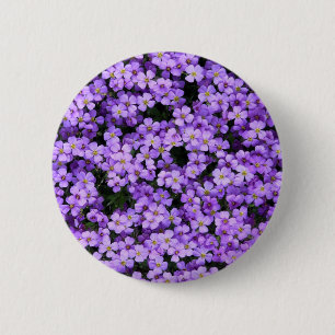 Violet Flowers Button Violets
