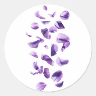 violet flowers classic round sticker