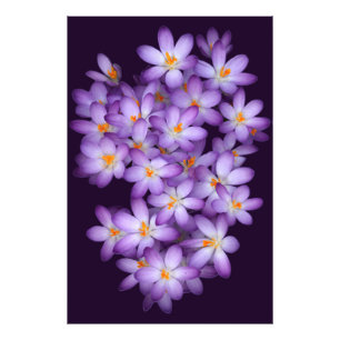  Violet Flowers   Photo Print