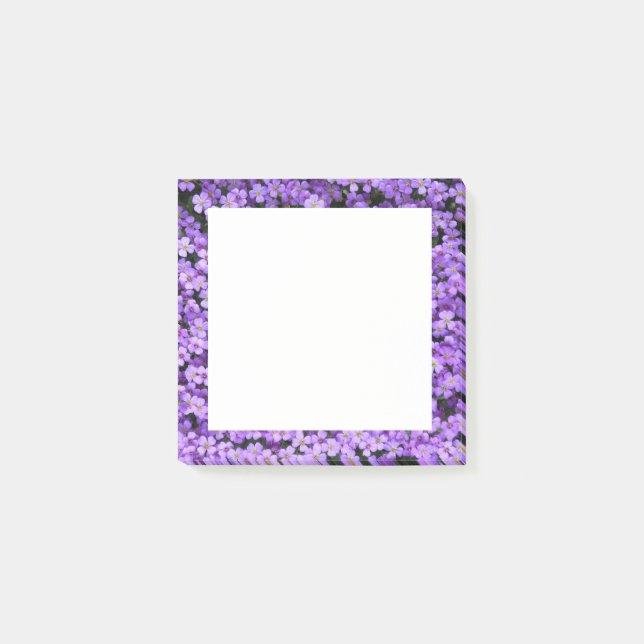 Violet Flowers Post it Notes Violets (Front)