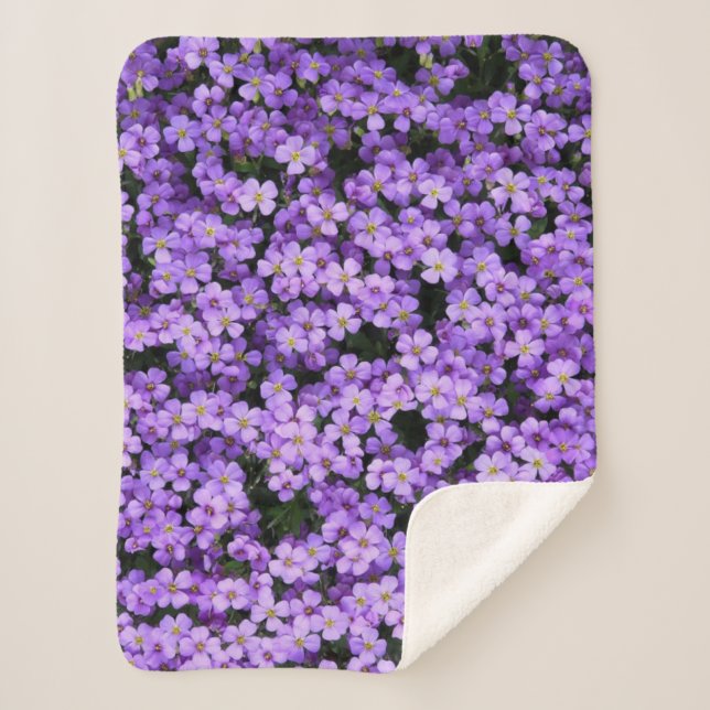Violet Flowers Sherpa Blanket Beautiful Violets (Front)