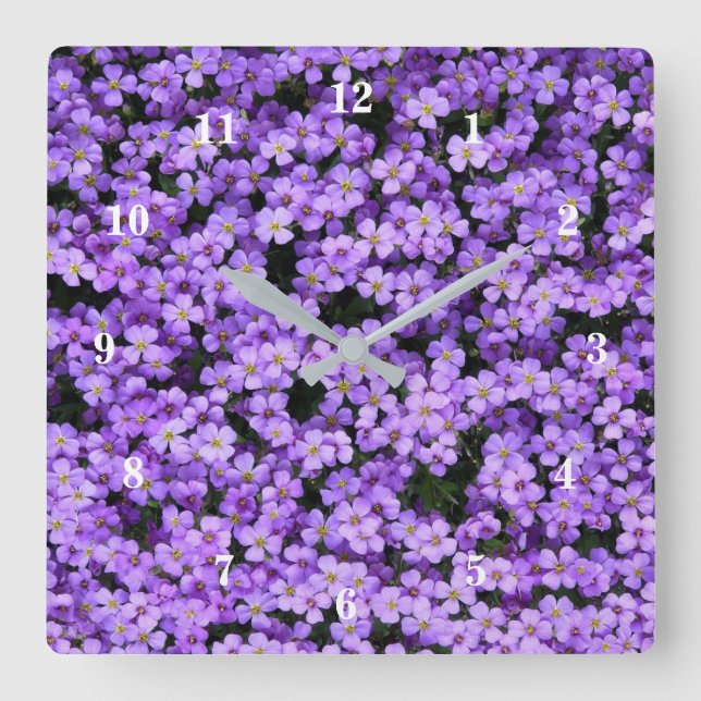 Violet Flowers Wall Clock Violets (Front)