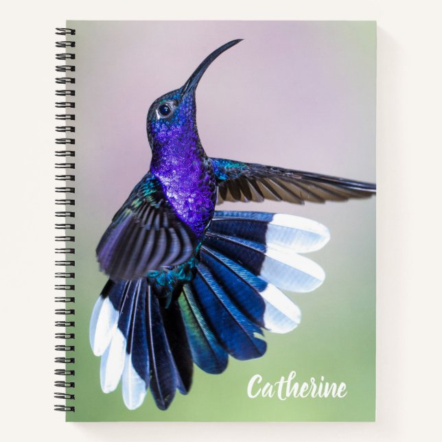 Violet Hummingbird with Beautiful Feathers Custom Notebook (Front)