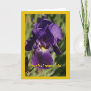 violet iris - card