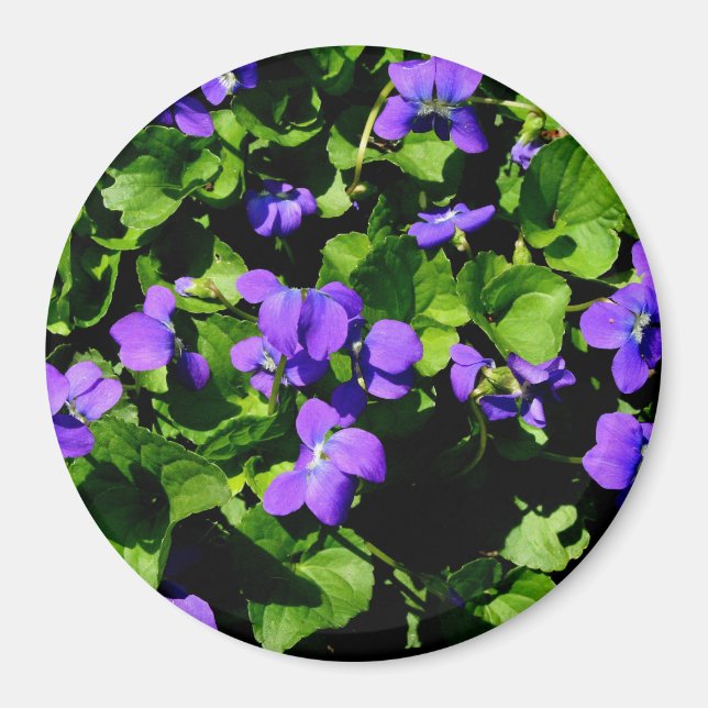 Violet Magnet (Front)