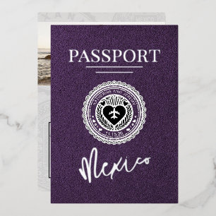 Violet Mexico Passport Wedding