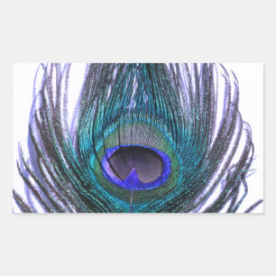 Violet Peacock Feather Sticker