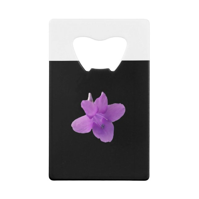 Violet philippin sur noir (Devant)