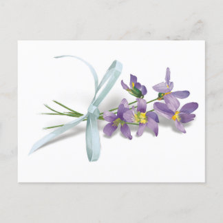 Violet Post Card