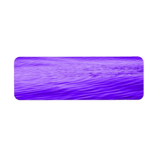 Violet pourpre (Devant)