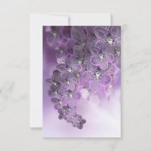 Violet Purple Blooming Flower Orchids Thank You Card