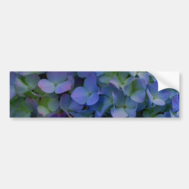Violet purple hydrangeas bumper sticker (Front)