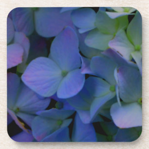 Violet purple pink blue hydrangeas flower floral coaster