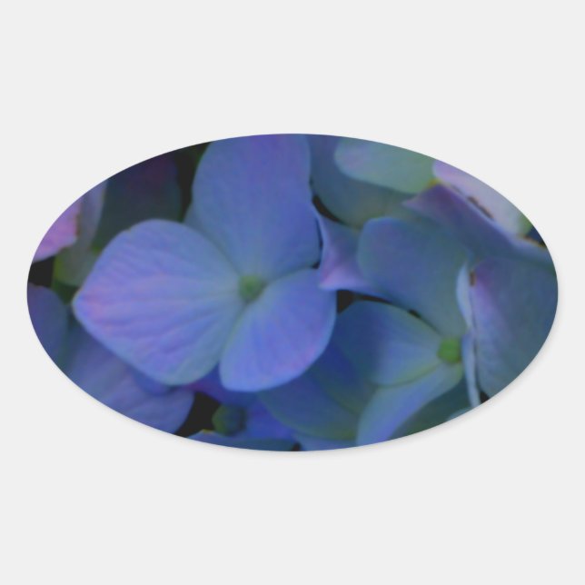 Violet purple pink blue hydrangeas flower floral oval sticker (Front)