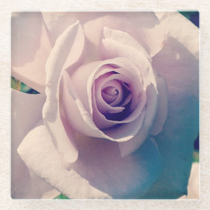 Violet Rose Glass Coaster