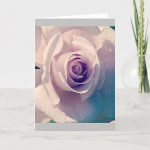 Violet Rose Holiday Card
