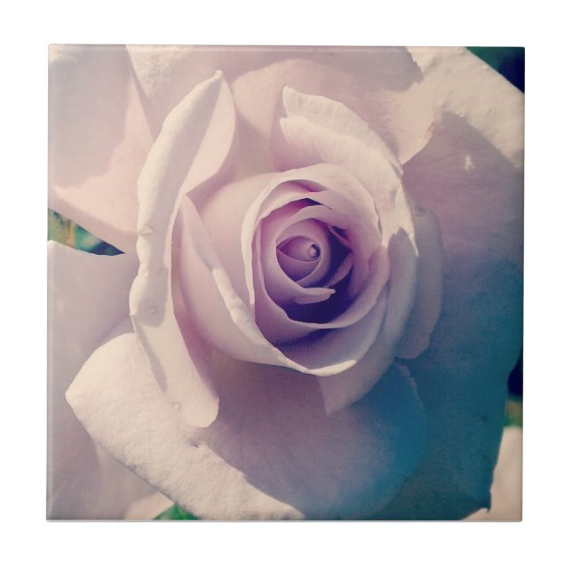 Violet Rose Tile (Front)