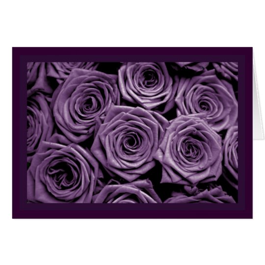 Violet Roses Card