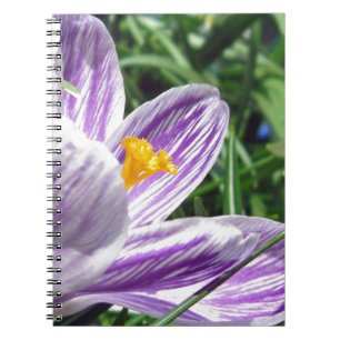 Violet Spring Crocus Notebook