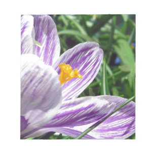 Violet spring crocus notepad