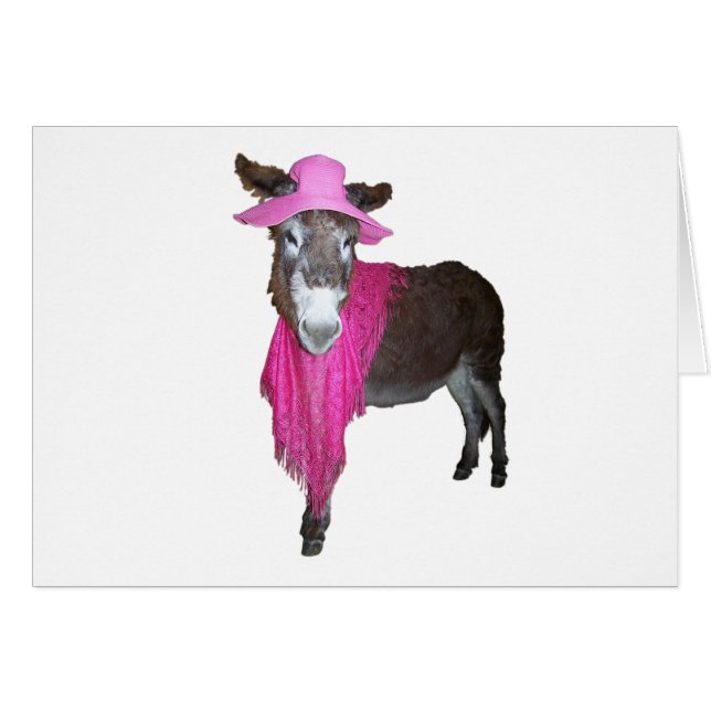 Violet the Donkey Dressed in Pink (Front Horizontal)