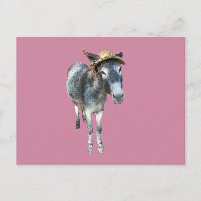 Violet the Donkey in Straw Hat with Flowers Postcard (Front)