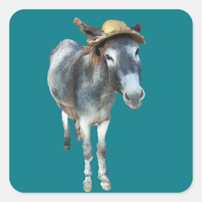 Violet the Donkey in Straw Hat with Flowers Square Sticker (Front)