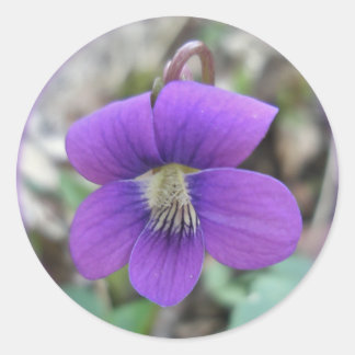 Violet Wildflower Coordinating Items Classic Round Sticker