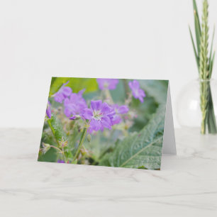 Violet Wildflower Purple Geranium Floral Photo Card
