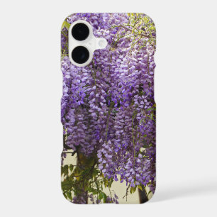 Violet Wisteria Flowers