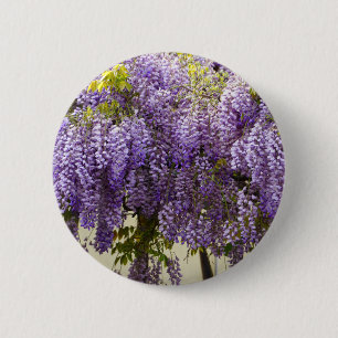 Violet Wisteria Flowers 2 Inch Round Button