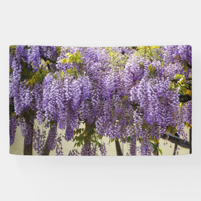 Violet Wisteria Flowers Banner (Horizontal)