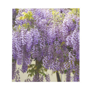 Violet Wisteria Flowers Notepad