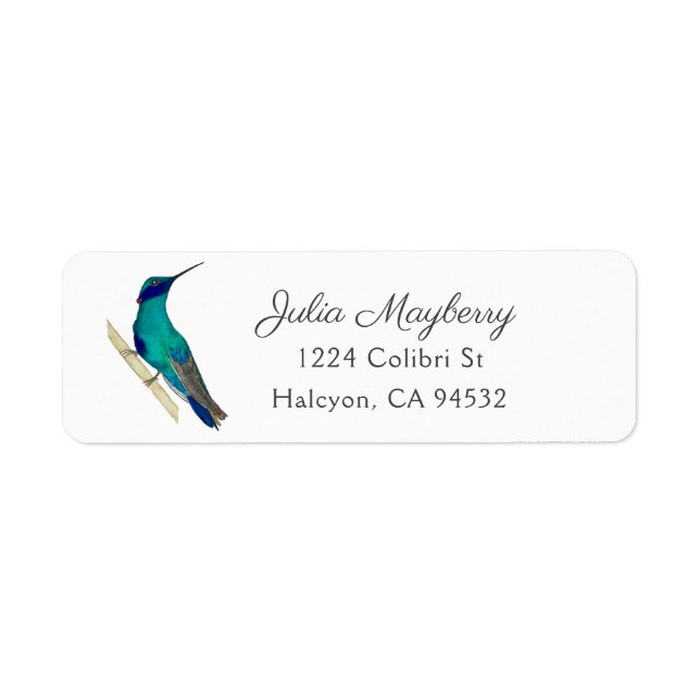 Violetear Hummingbird Label (Front)