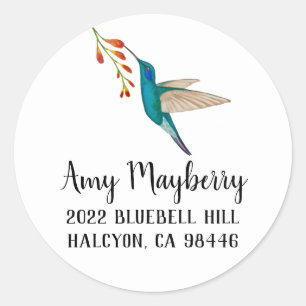 Violetear Hummingbird return address Classic Round Sticker